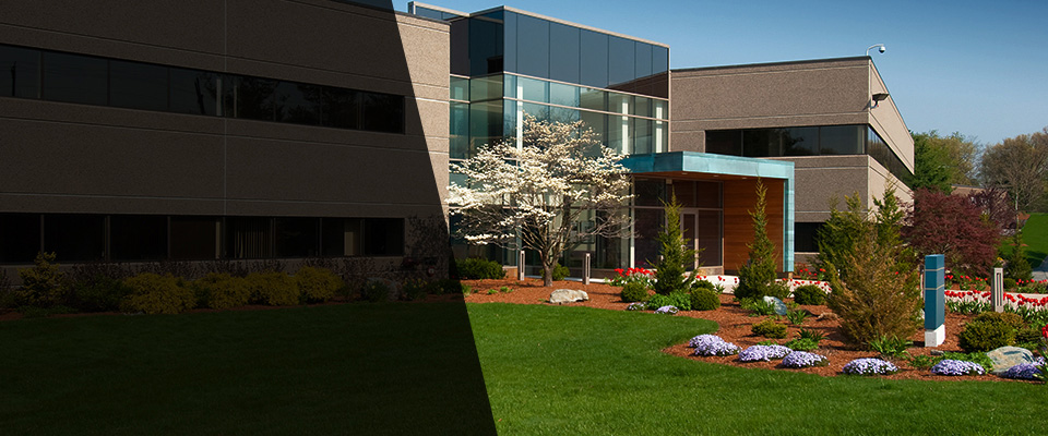 Roseau Landscapers