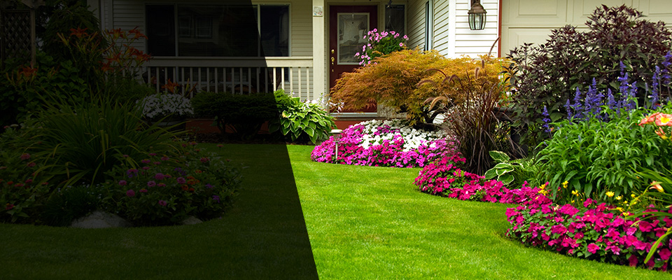 Roseau Landscapers