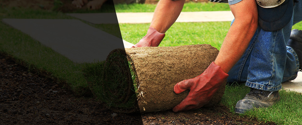 Roseau Landscapers